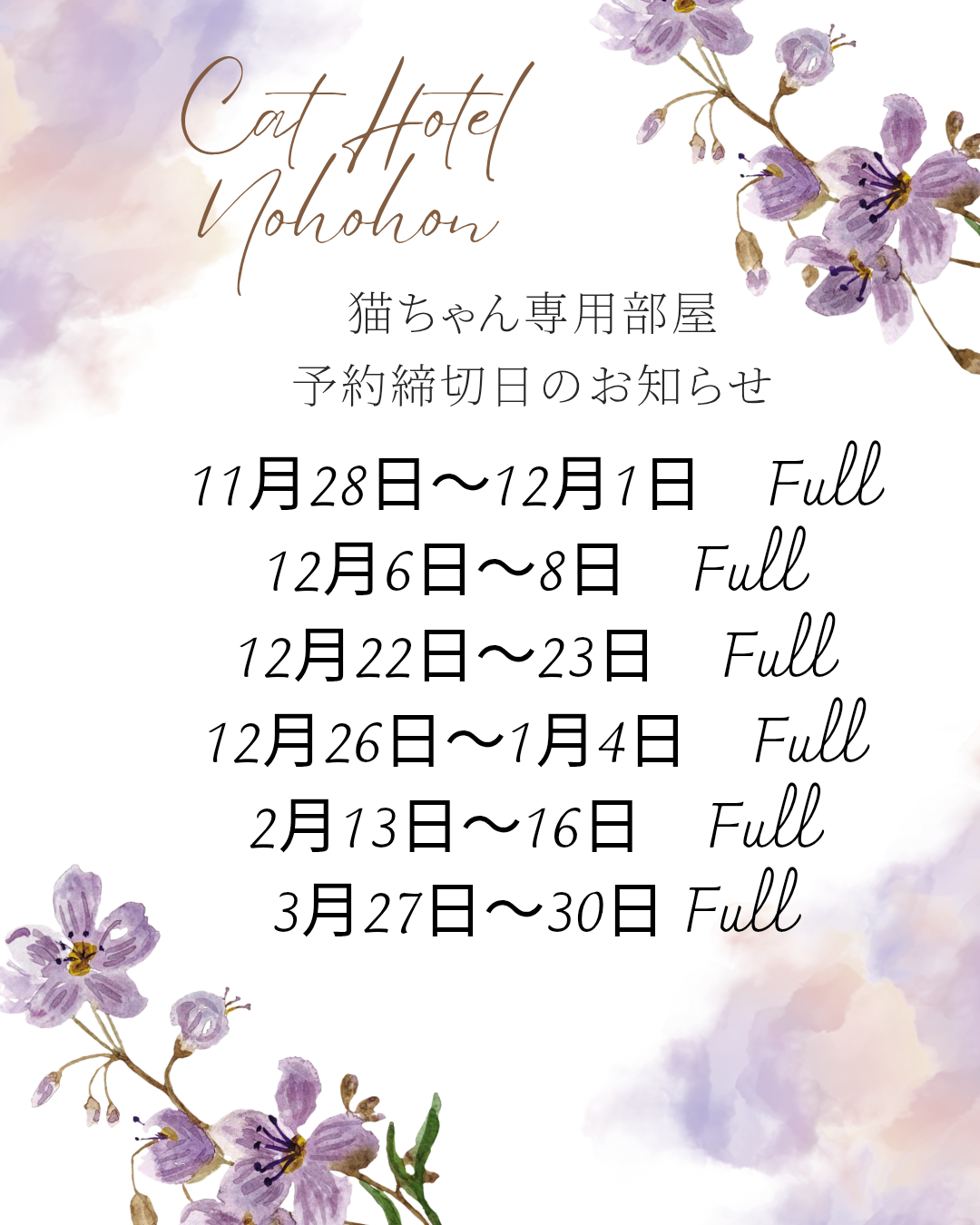 ♡猫ちゃんの空き状況♡