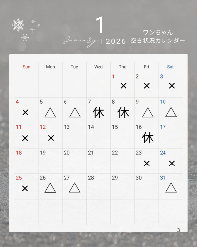 ♡1月のワンちゃんカレンダー♡