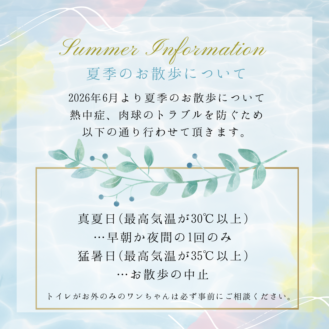 夏季のお散歩について