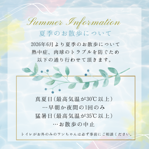 夏季のお散歩について