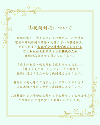 夜間対応オプションについて