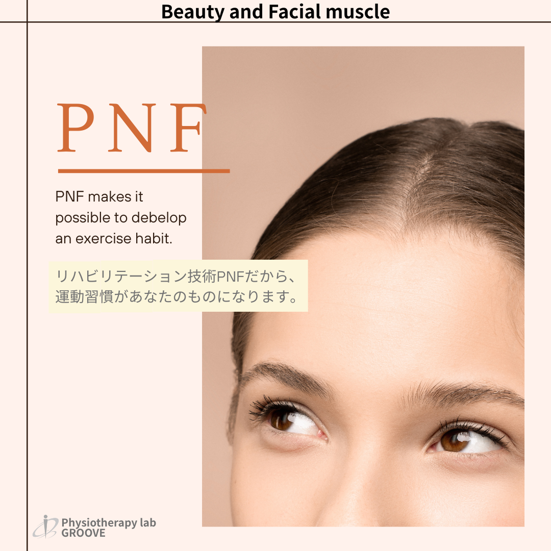 顔のPNF 美容目的でご利用いただけます。