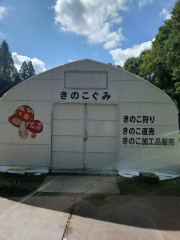 94070_0.jpg