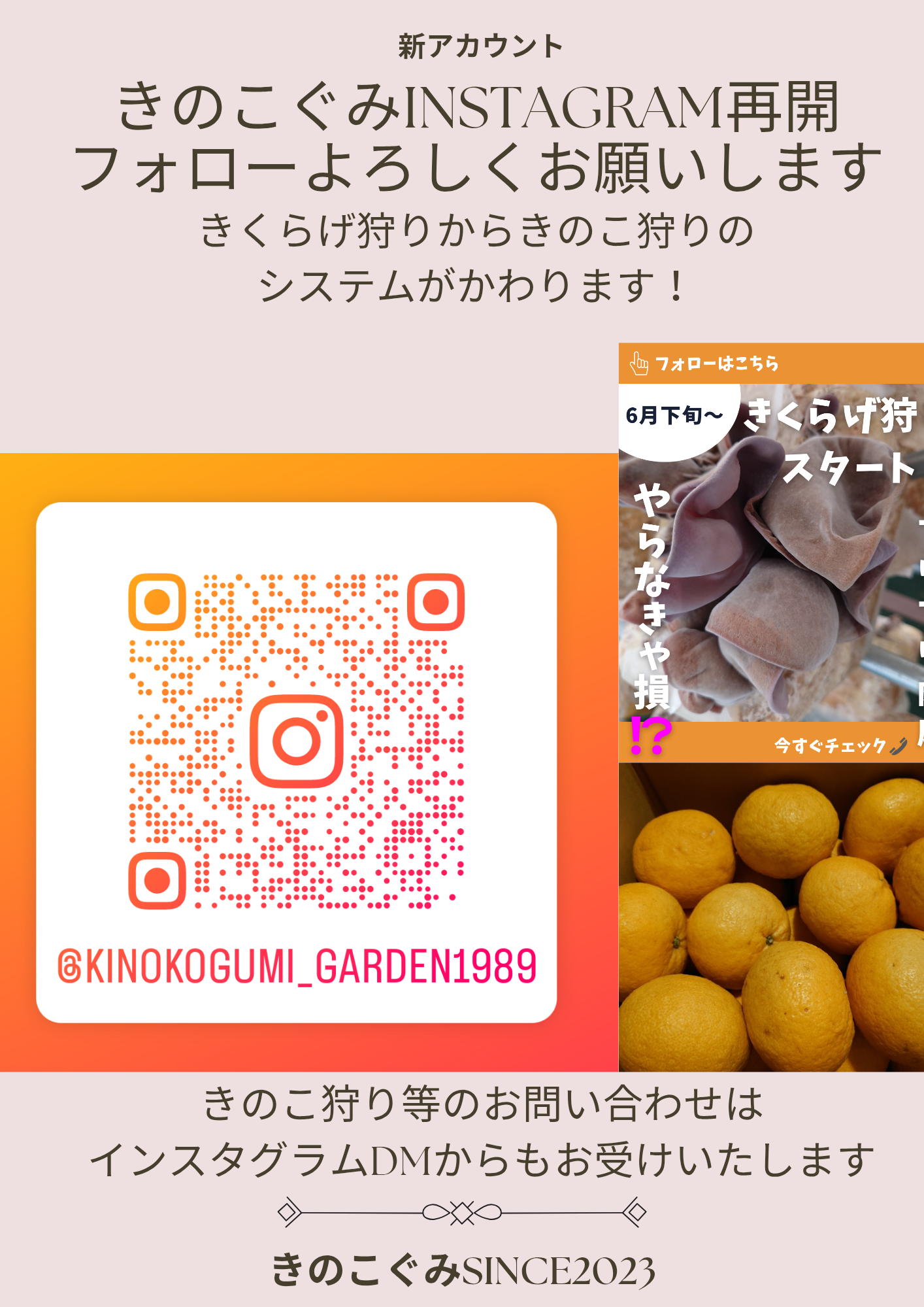 インスタグラム再開しました～お知らせ～