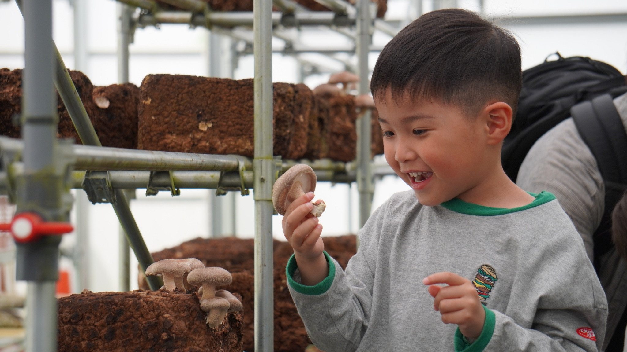ハウスでキノコ狩り！🍄