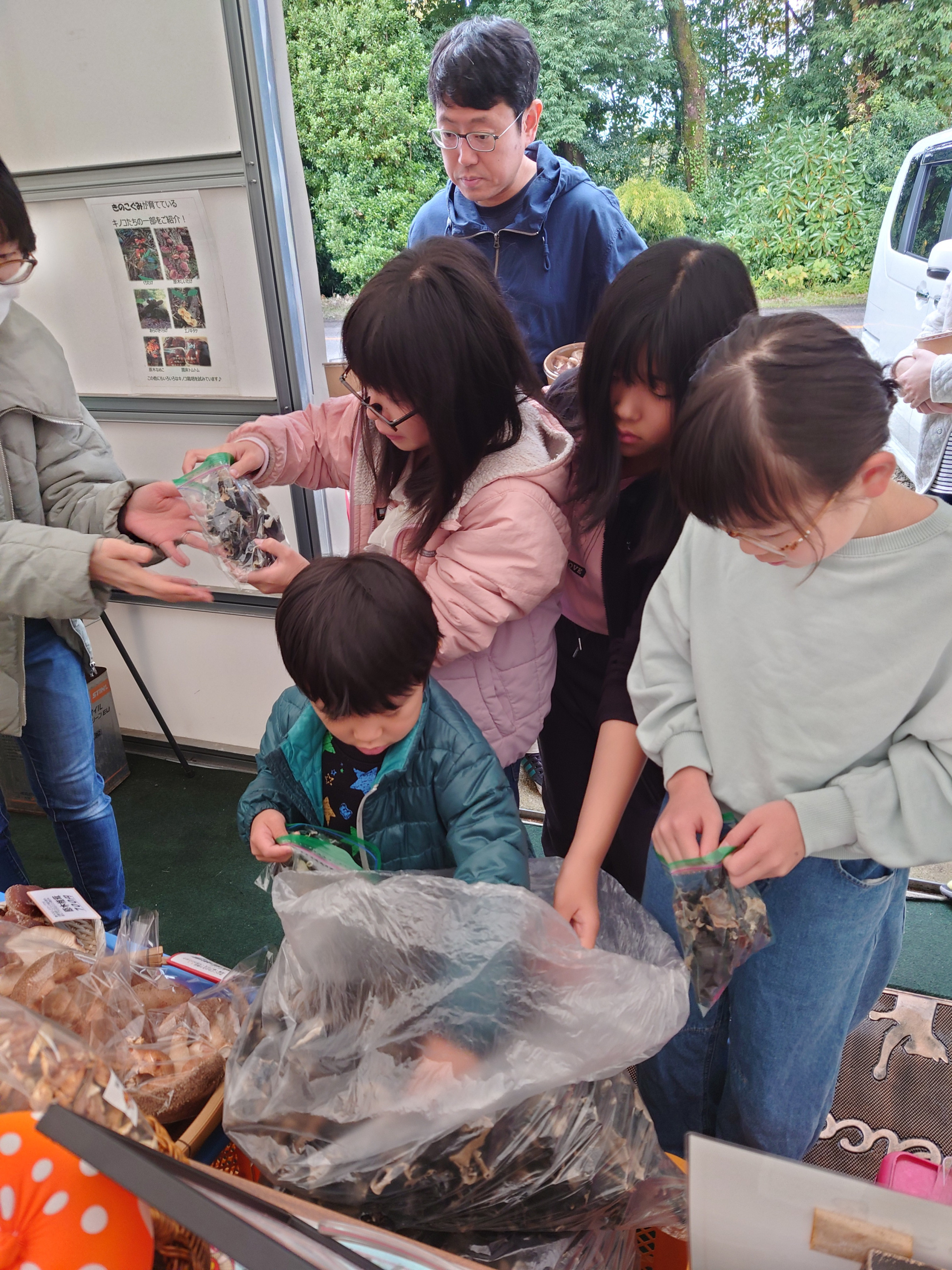 きのこ狩りツアー体験