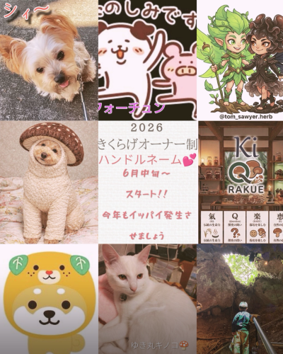 Screenshot_20260410-173643.png