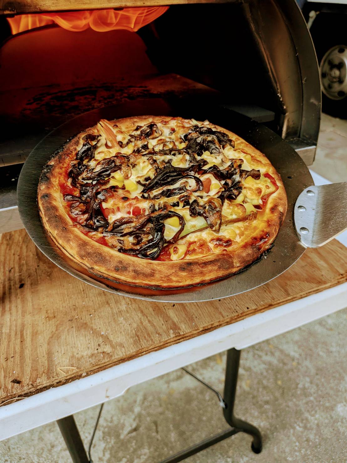 🍄夏限定！ピザ窯ワークショップ開催のお知らせ🍕 - きのこぐみ