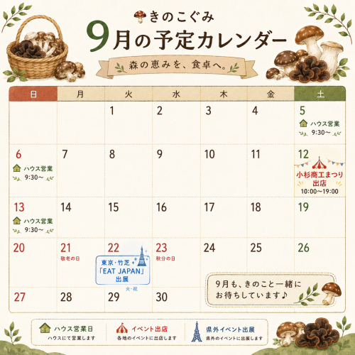 file_00000000964c8206951dd7b7890ad941.png