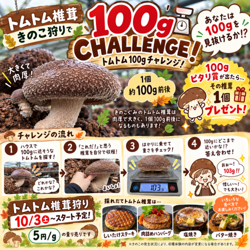 ChatGPT 画像 2026年9月29日 17_47_21.png