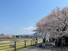 IMG_7463.jpeg