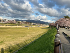 IMG_7454.jpeg