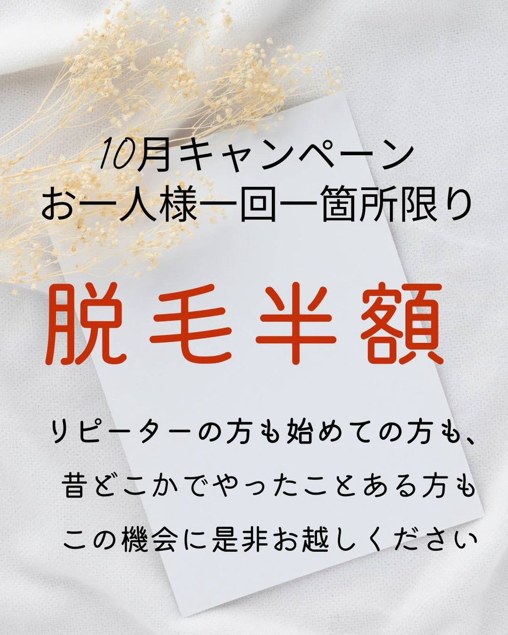 10月のキャンペーンは脱毛半額！！！