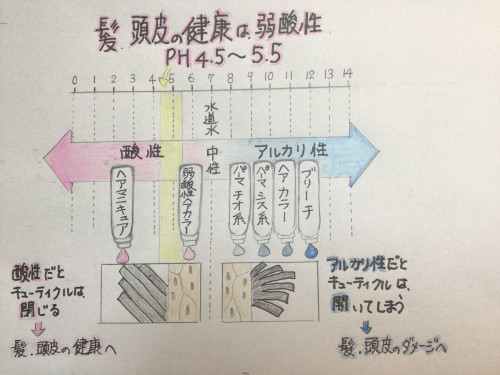 D91F1277-95B8-4375-8D9E-FB4531FAE887.jpeg