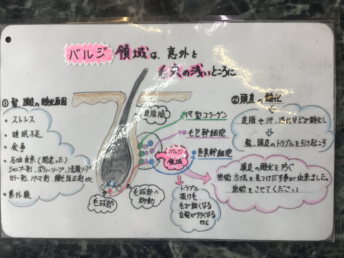53AA892B-60F5-4F3D-9C47-C8565B1FA482.jpeg