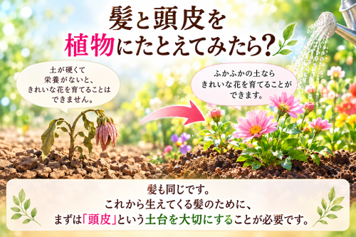 龍ケ崎市髪質改善・頭皮ケアってなぁに〜？
