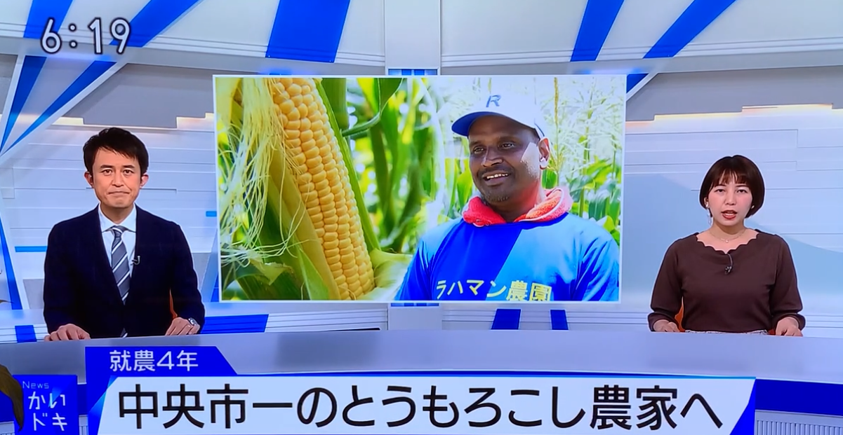 NHKニュース かいどき