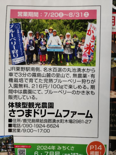 ブルーベリー狩り広告