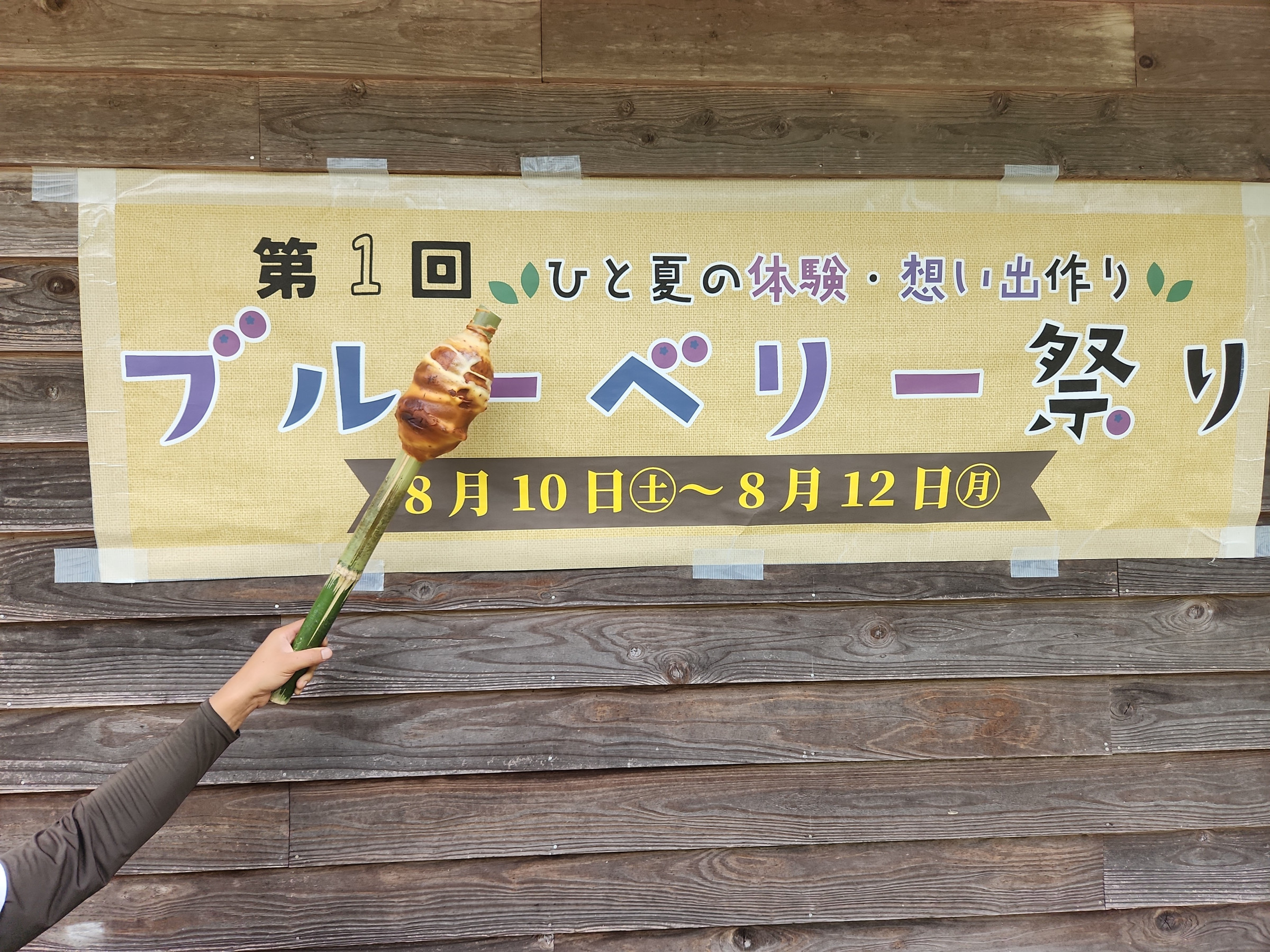 ブルーベリー祭り（８月１０日～１２日）
