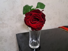 20241008_004410.jpg