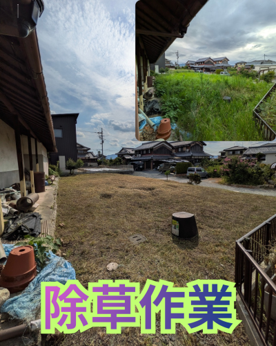 草刈り作業　　面積208平米