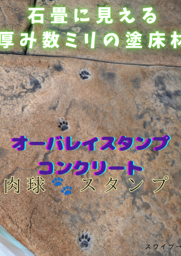 Compress_20260906_113657_7720.png
