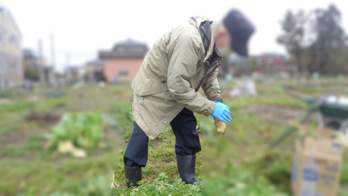 農作業 ぼかし 2.JPG