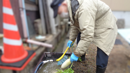 農作業 ぼかし 3.JPG