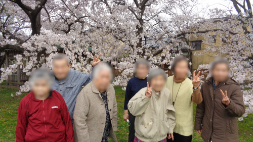 お花見1.JPG