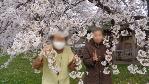 お花見2.JPG