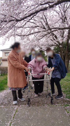 お花見6.JPG