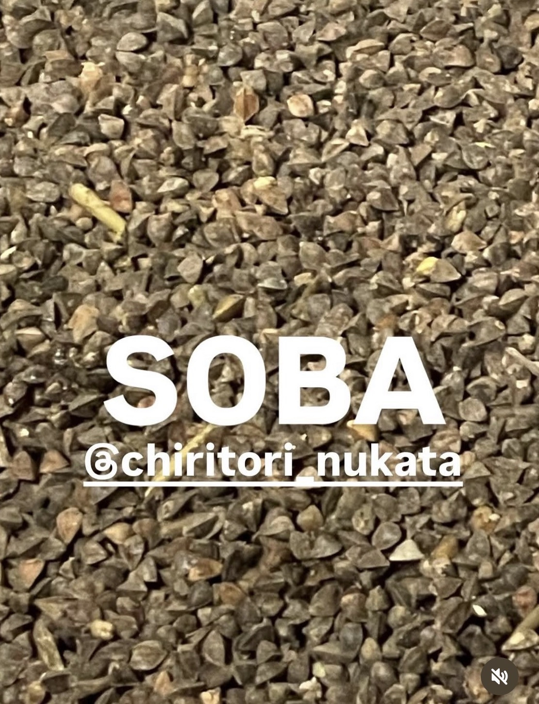 【山田農園さんのお蕎麦】