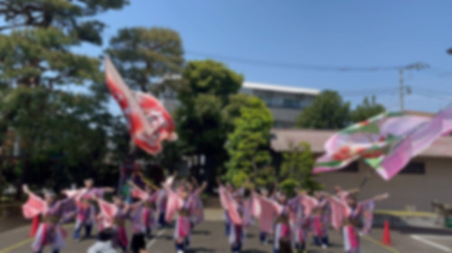 IMG_9236.jpeg