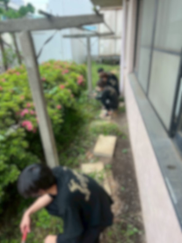 IMG_3135.jpeg