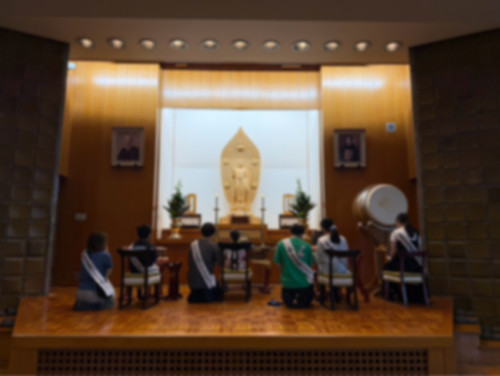 IMG_3083.jpeg