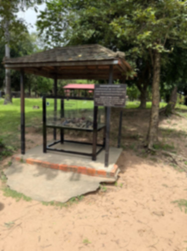 IMG_3664.jpeg