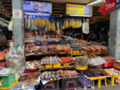 IMG_3646.jpeg