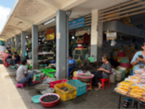 IMG_3644.jpeg