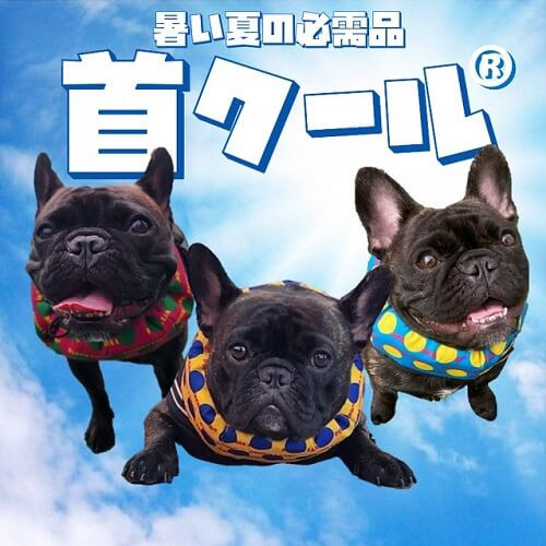 夏の暑さ対策グッズ首クールは約2時間も冷たさが持続する不思議なネッククーラーです
