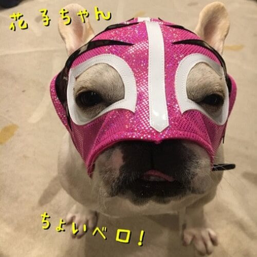 花子ちゃん.jpg