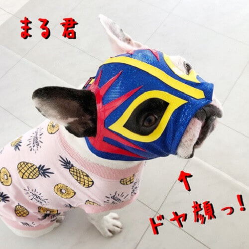 まる君.jpg