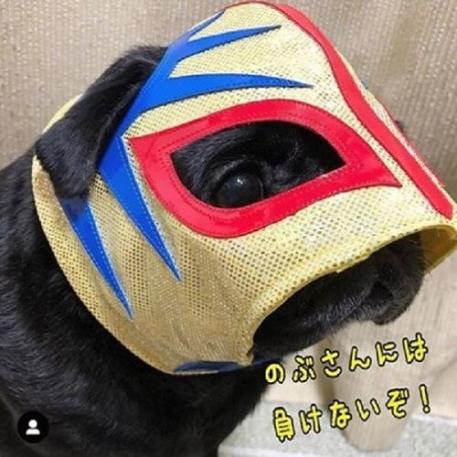 きぃ坊ちゃん.jpg