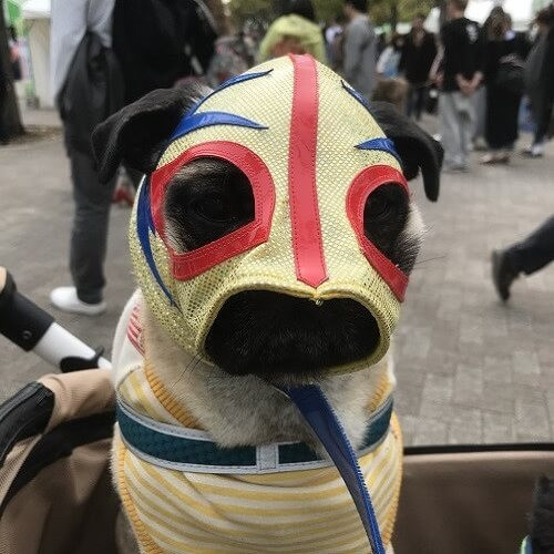ちゃんこまるちゃん.jpg