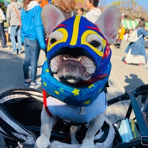 テオちゃん.jpg