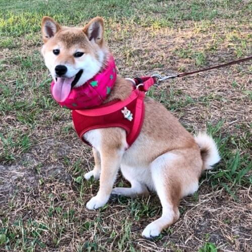 天ちゃん