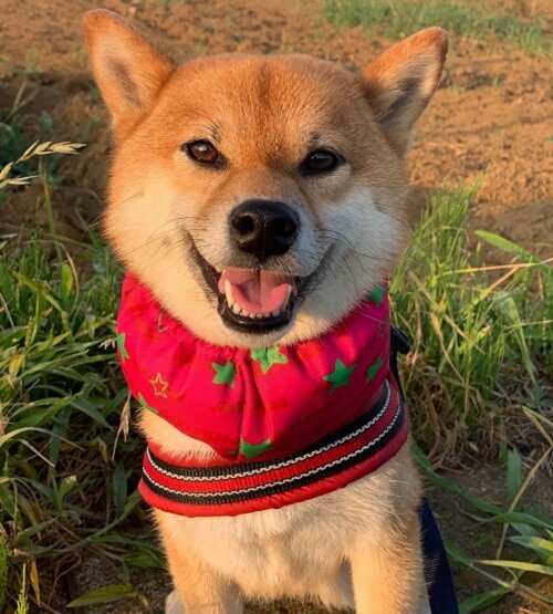 イチちゃん
