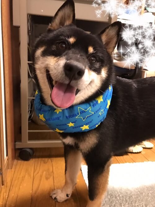 まろ