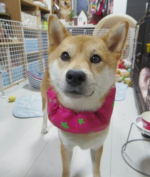 つむぎちゃん