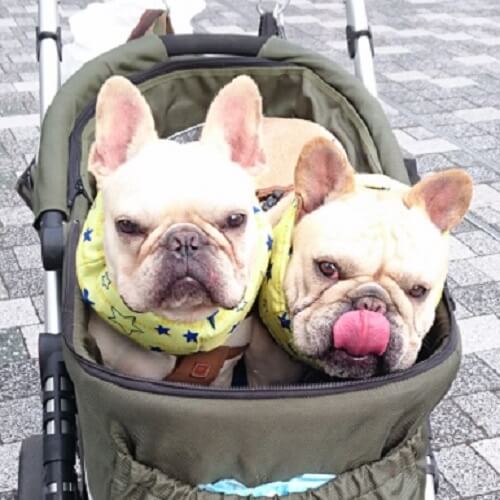 諭吉＆大吉ちゃん
