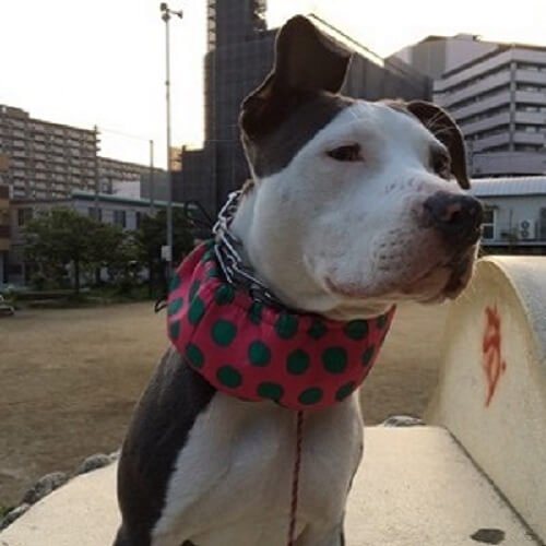キアラちゃん